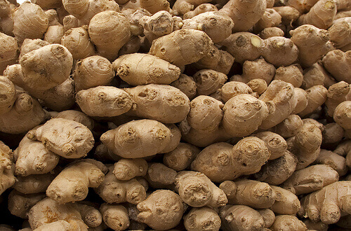 Θεραπευτικές ιδιότητες του τζίντζερ - Καλλιέργεια τζίντζερ