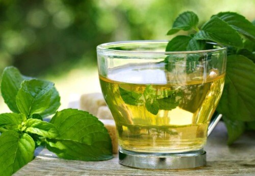Αφεψήματα που μειώνουν την κατακράτηση υγρών - Ένα φλιτζάνι τσάι από μπόλντο