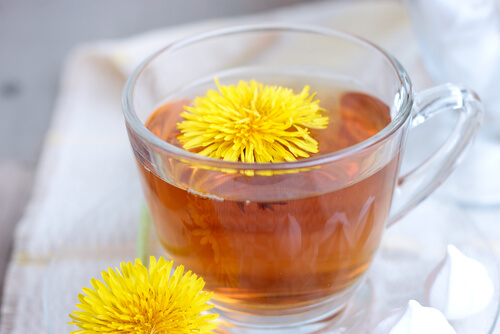 Αφεψήματα που μειώνουν την κατακράτηση υγρών - Ένα φλιτζάνι τσάι από ραδίκι