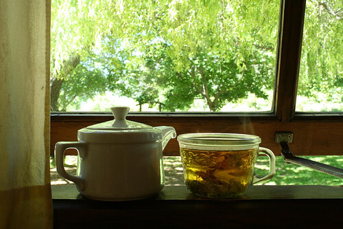 Αφεψήματα που μειώνουν την κατακράτηση υγρών - Φλιτζάνι με τσάι σημύδας