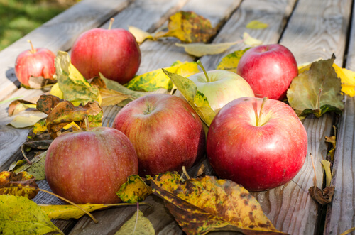 Ανακουφιστείτε από τους πόνους της φλεβίτιδας - Μήλα πάνω σε τραπέζι