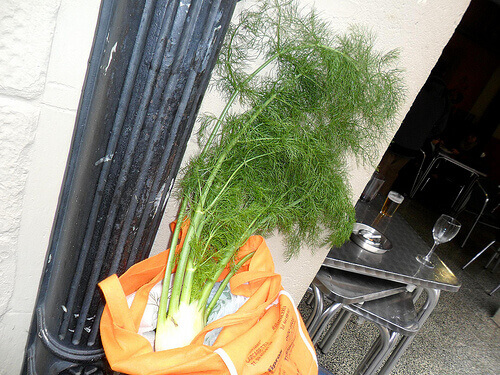 τρόποι μείωσης της αρτηριακής πίεσης με μαραθο