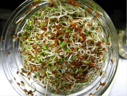 Πώς μαγειρεύονται σωστά τα λαχανικά: - Σπορόφυτα