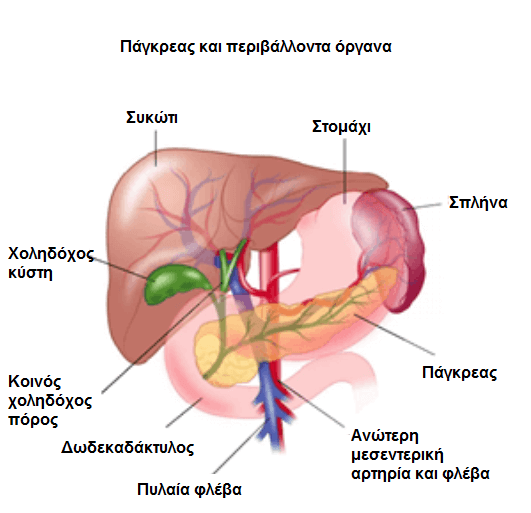 Αποτοξίνωση στο πάγκρεας με φαρμακευτικά φυτά