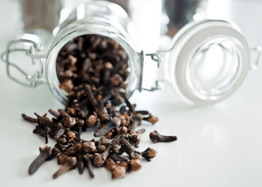 απομακρύνετε τις μύγες με γαρύφαλλο