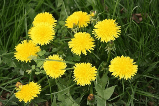 Θεραπεία που βοηθά στην αντιμετώπιση του καρκίνου