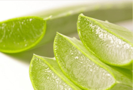 Βότανα που προσφέρουν ενέργεια - Κομμένα φύλλα αλόης
