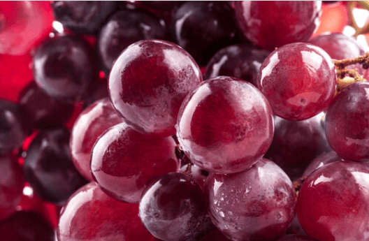 Λοιμώξεις του ουροποιητικού - Κόκκινα σταφύλια