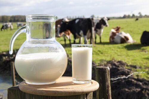Ασθένειες από το αγελαδινό γάλα στην υγεία μας