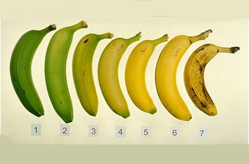 Ποια είναι πιο υγιεινή, η ώριμη ή η πράσινη μπανάνα;