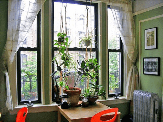 τα φακελάκια τσαγιού
