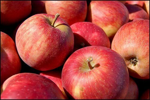 Οι ωφέλειες ενός μήλου την ημέρα - Πολλά κόκκινα μήλα