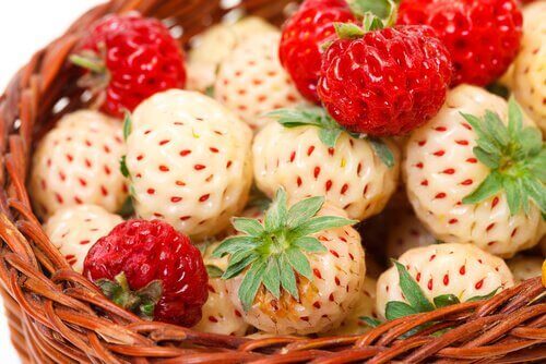 Άσπρες φράουλες - Άσπρες και κόκκινες φράουλες