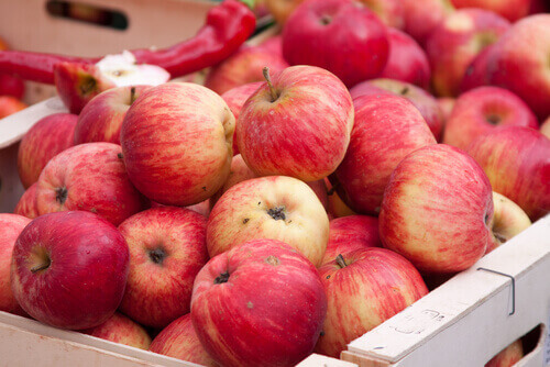 αντιοξειδωτικά φρούτα- μήλα