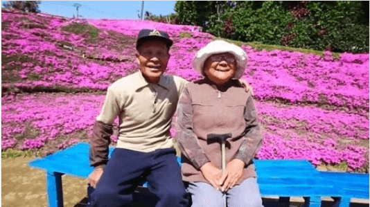 Ένας άνδρας φύτεψε χιλιάδες λουλούδια για την τυφλή γυναίκα του