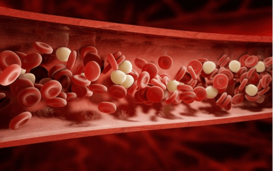 Τα οφέλη του κανναβουριού - Αιμοφόρα αγγεία