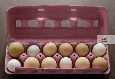 αβγα σπαταλάτε τρόφιμα