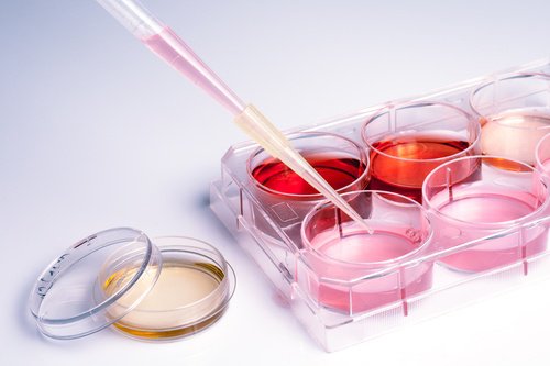 πράγματα που δεν ξέρετε για τον κόλπο σας