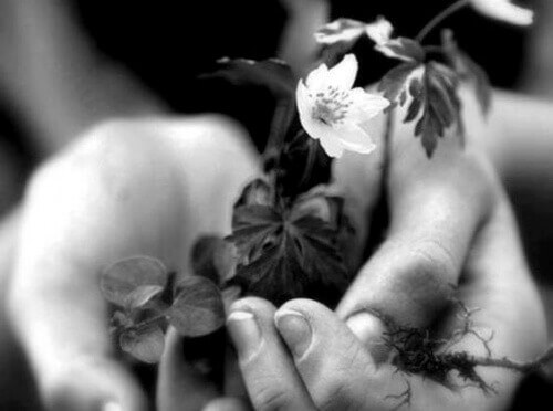 έμπρακτη καλοσύνη