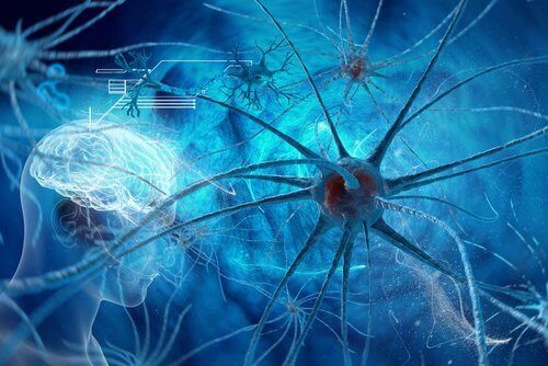 Το πραγματικό μυστικό της έλξης - Νευρώνες