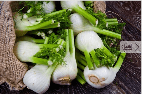 7 φυσικές θεραπείες κατά των εντερικών αερίων