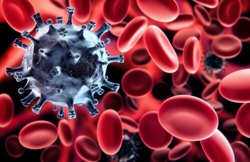 Κακή κυκλοφορία του αίματος - Ερυθρά αιμοσφαίρια και ιοί