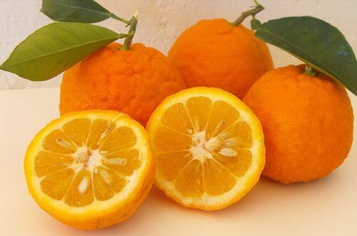 πορτοκαλια για παχάκια της μέσης