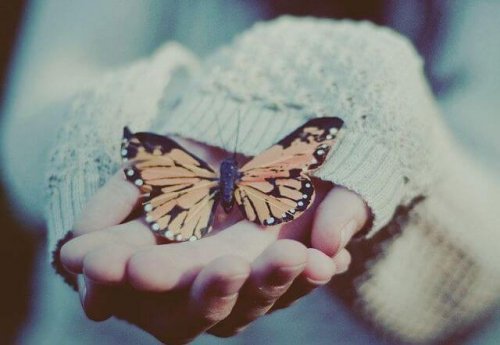 πεταλούδα σε χέρι