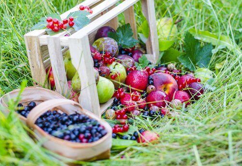 μήλα,βατόμουρα, μπασκέτα, φρούτα, smoothies για τη δυσκοιλιότητα