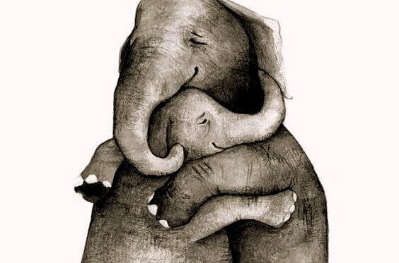 Αγκαλιασμένοι ελέφαντες συναισθηματικοί δεσμοί