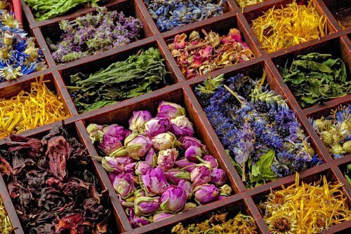 Αποξηραμένα βότανα