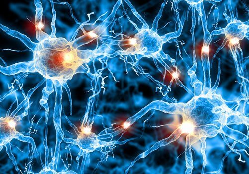 Μιλάμε στον ύπνο μας - Ψηφιακή αναπαράσταση νευρώνων