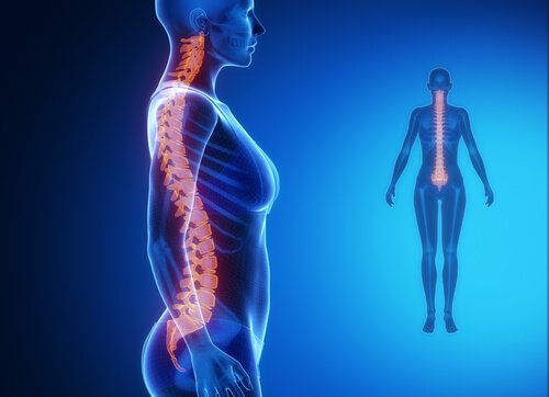 Οι μυϊκές συσπάσεις ενεργοποιούν τον πόνο στον λαιμό και την πλάτη