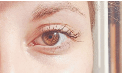 Καστανό μάτι-χρώμα των ματιών