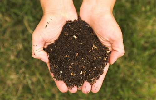 Διατροφική πυραμίδα, χώμα