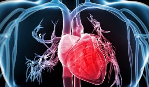 Οφέλη του μπρόκολου - Ψηφιακή αναπαράσταση καρδιάς