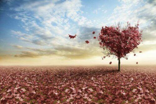 Μπορείτε να επιβιώσετε από έναν χωρισμό