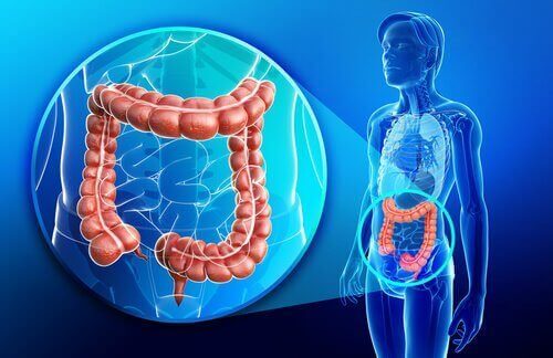 Τι είναι η νόσος του Crohn; Μάθετε περισσότερα γι αυτήν