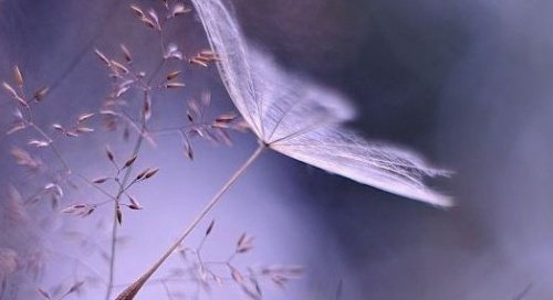 αναπνοή, καρδιά μειώσετε την αρτηριακή σας πιεση