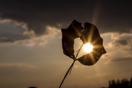 Φιλία μεταξύ γυναικών: Ένας συναρπαστικός τρόπος για την καταπολέμηση του άγχους, κενός κόσμος