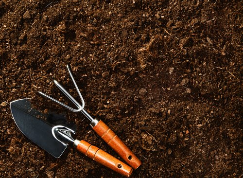 πώς να παράγετε τα δικά σας σπιτικά μύρτιλα