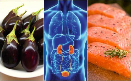 7 τρόφιμα που υποστηρίζουν με φυσικό τρόπο την υγεία των νεφρών