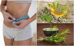 6 Βότανα για άμεση απώλεια βάρους και καύση λίπους!