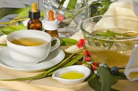 θεραπείες για τους κιρσούς εγχύματα και πράσινο τσάι
