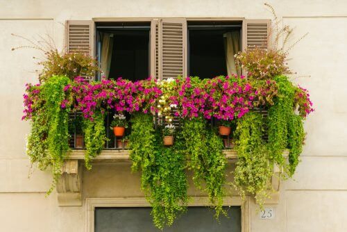 Δημιουργήστε έναν κήπο μινιατούρα στο σπίτι - Γλάστρες έξω από παράθυρο