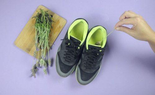 Άσχημες οσμές στα παπούτσια - Παπούτσια και λεβάντα
