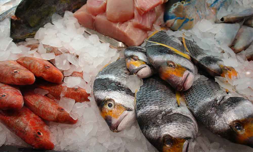 διάφορα ψάρια σε πάγο-επικίνδυνα ψάρια 