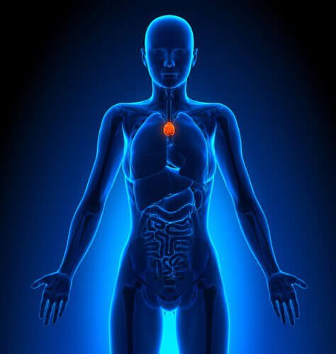 μάθετε για το λεμφικό σύστημα