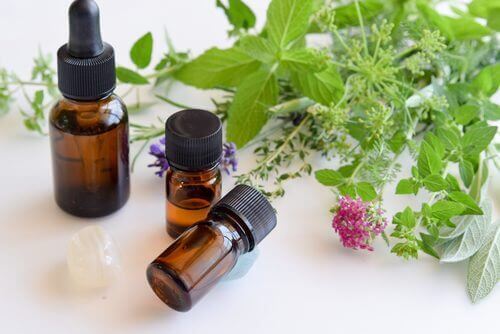 ανάπτυξη του μύκητα Candida