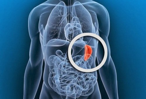 μάθετε για το λεμφικό σύστημα